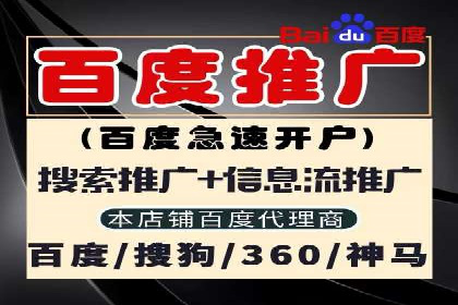 SEM竞价案例：提升搜索引擎排名